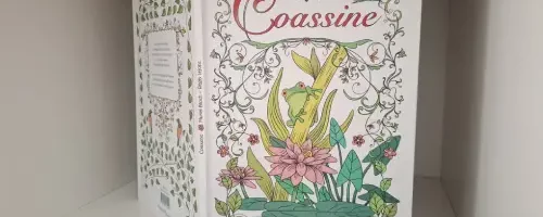 Conte de Coassine, de Muriel Blosch, illustré pas Régis Lejonc aux éditions Magnard Jeunesse.